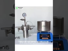 Reaktor Stainless Steel Reaktor Tekanan Tinggi Gas Diaduk Secara Magnetik Untuk Laboratorium