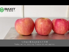 ZLGJ-50 Standar Silikon Minyak Pemanas Pilot Laboratorium Freeze Dryer