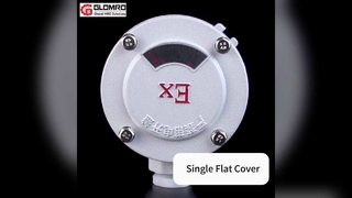 Kotak sambungan tahan ledakan GLO-AH