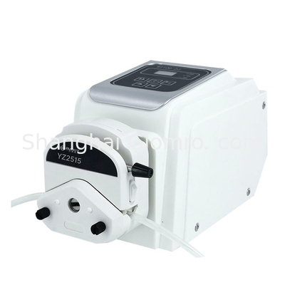 BXT-BT100-2J High Quality 100rpm Peristaltic Pump Digital Industrial Peristaltic Dosing Pump System