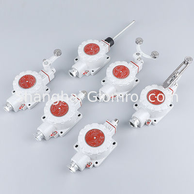 ATEX Explosion Proof Single Step Travel Switch BXT-LX5 Series For Hazardous Areas