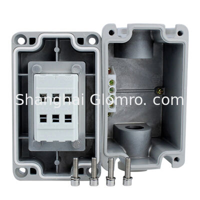 One switch Explosion-Proof Air Switch 20A Exde IIC T6 IP65 Push-Pull Operation