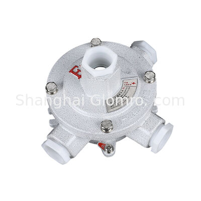 High-Stability AH-IIB Type H Triple Hanger Type Explosion-proof Box, Stainless Steel Fasteners, Exd IIB T6 IP65