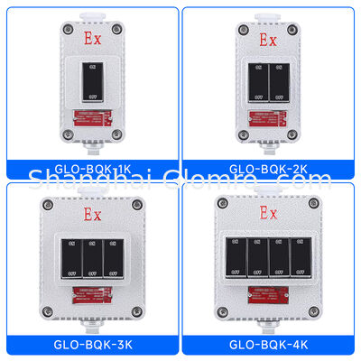 Increased Safety Type Explosion-proof Wall Switch Double Gang IP65 Rated