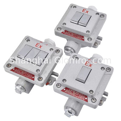 Flameproof Type Explosion-proof Wall Switch Surface-mounted Explosion-proof, Dust-proof and Water-resistant