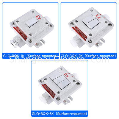 Flameproof Type Explosion-proof Wall Switch Surface-mounted Explosion-proof, Dust-proof and Water-resistant