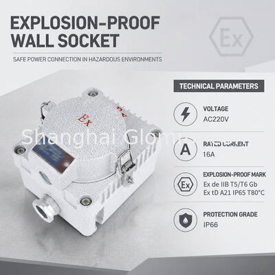 Hazardous Area Explosion Proof Socket Die Cast Aluminum 16A 3 Pin Wall Socket With Cable Gland