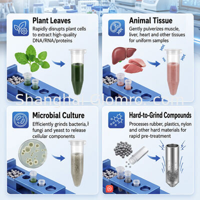 Vertical Oscillation High Throughput Tissue Grinder Multi Sample Homogenizer for University Laboratory Testing Application