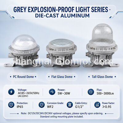 10W LED Explosion Proof Fixture IP65 WF2 Long Lifespan Industrial Hazardous Area Lighting for Refinery