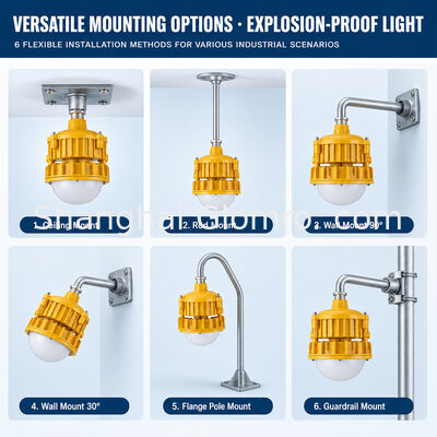 LED Maintenance-free Explosion-proof 60W Floodlight with Microwave Sensing-Emergency Lighting for Petrochemical Platforms