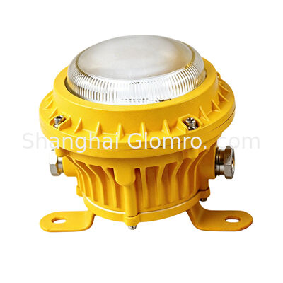 Maintenance-free Explosion-proof Lamp Corrosion Resistant Wall Mount Light 10W Glass Lens Industrial Corridor Tunnel Lighting