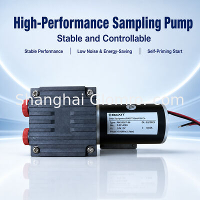 BAXIT PM33387-96 CEMS Gas Sampling Diaphragm Vacuum Pump 9L/min Corrosion Resistant for Emission Monitoring