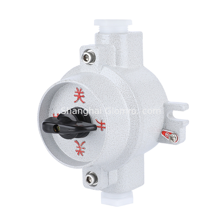 ATEX 10A AC220V Explosion Proof Transfer Rotary Lighting Switches ATEX Knob On-off Switch Corrosion Proof for Oil Station