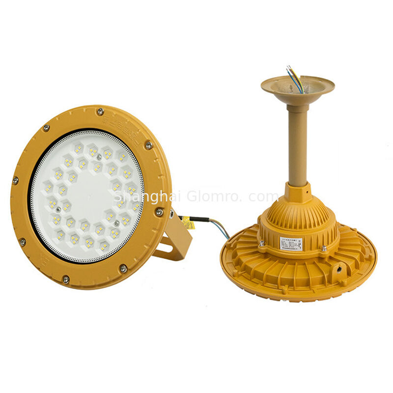 High-quality Explosion-Proof Blast-proof Waterproof 50-300W Round LED Explosion-proof Flood Light IP66 Exde MB IICT6 GB