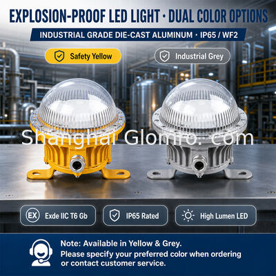Lampu LED 10W Tahan Ledakan IP65 WF2 Umur Panjang untuk Area Berbahaya Industri Kilang
