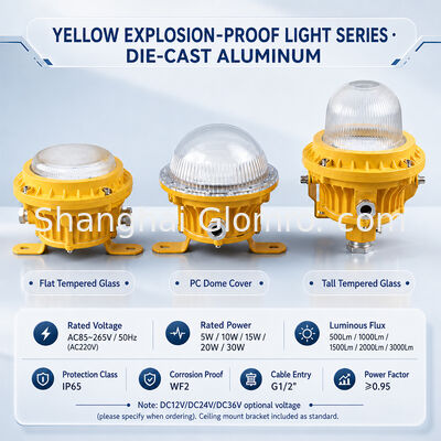 GLOMRO Heavy Duty Explosion Proof LED Area Light 30W SMD 3000Lm AC85V-265V untuk pabrik petrokimia