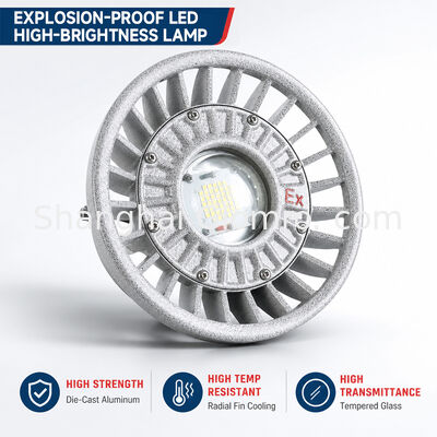 Lampu tahan led 20W/30W/40W/50W/60W/70W/80W/100W/120W IP66 Aluminium Die-cast Lampu Lokasi Berbahaya Berbagai pilihan daya