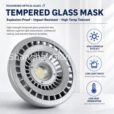 Lampu LED Anti Ledak Bulat 20W~120W IP66 Industri Anti Korosi Tahan Ledakan